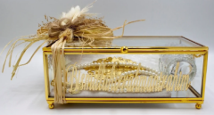 Cam Kutuda Yasin - Tesbih - Şişe Set