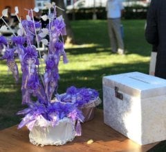 Şifreli Kadife Takı Zarf Sandığı