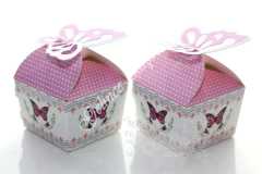 Kelebekli Kutuda Kına