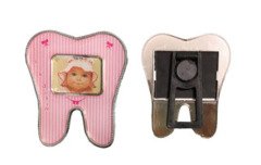 Diş Modeli Çerçeve Magnet