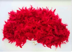 Otriş Tüylü Yelpaze