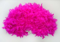 Otriş Tüylü Yelpaze