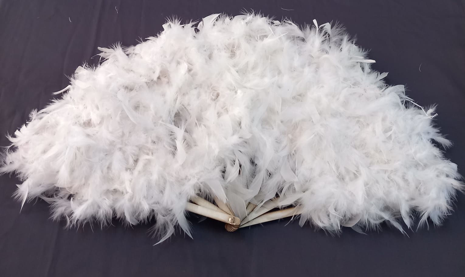 Büyük Tüylü Yelpaze Beyaz