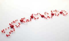 El Yapımı Gelin Tacı Kırmızı Papatya